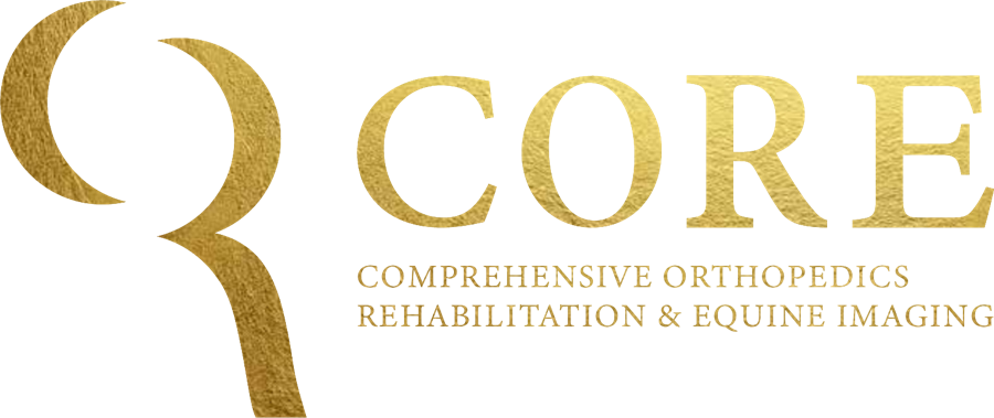 CORE — Comprehensive Orthopedics Rehabilitation & Equine Imaging