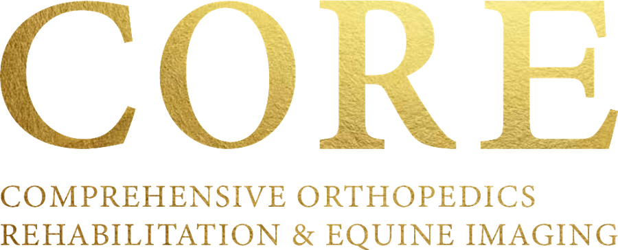 CORE — Comprehensive Orthopedics Rehabilitation & Equine Imaging