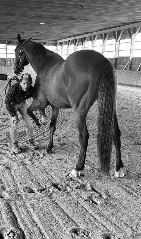 Forelimb flexion test in an indoor arena