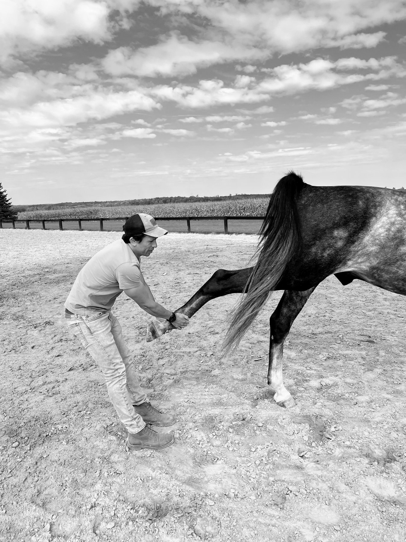 Hind limb flexion test