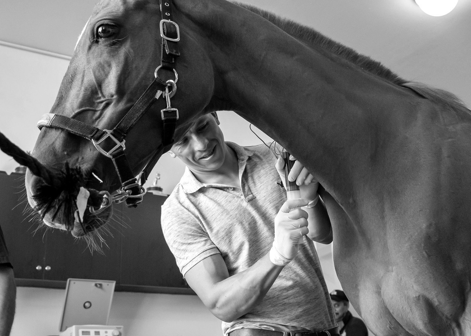Dr. Munévar Luque treating a horse