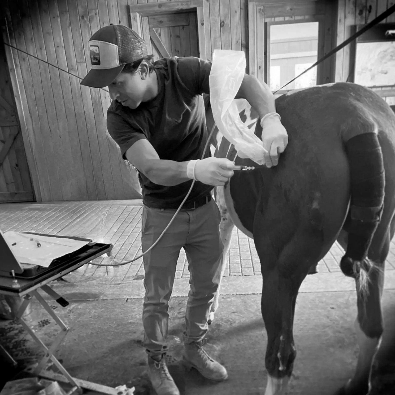 Ultrasound-guided injection of the hip