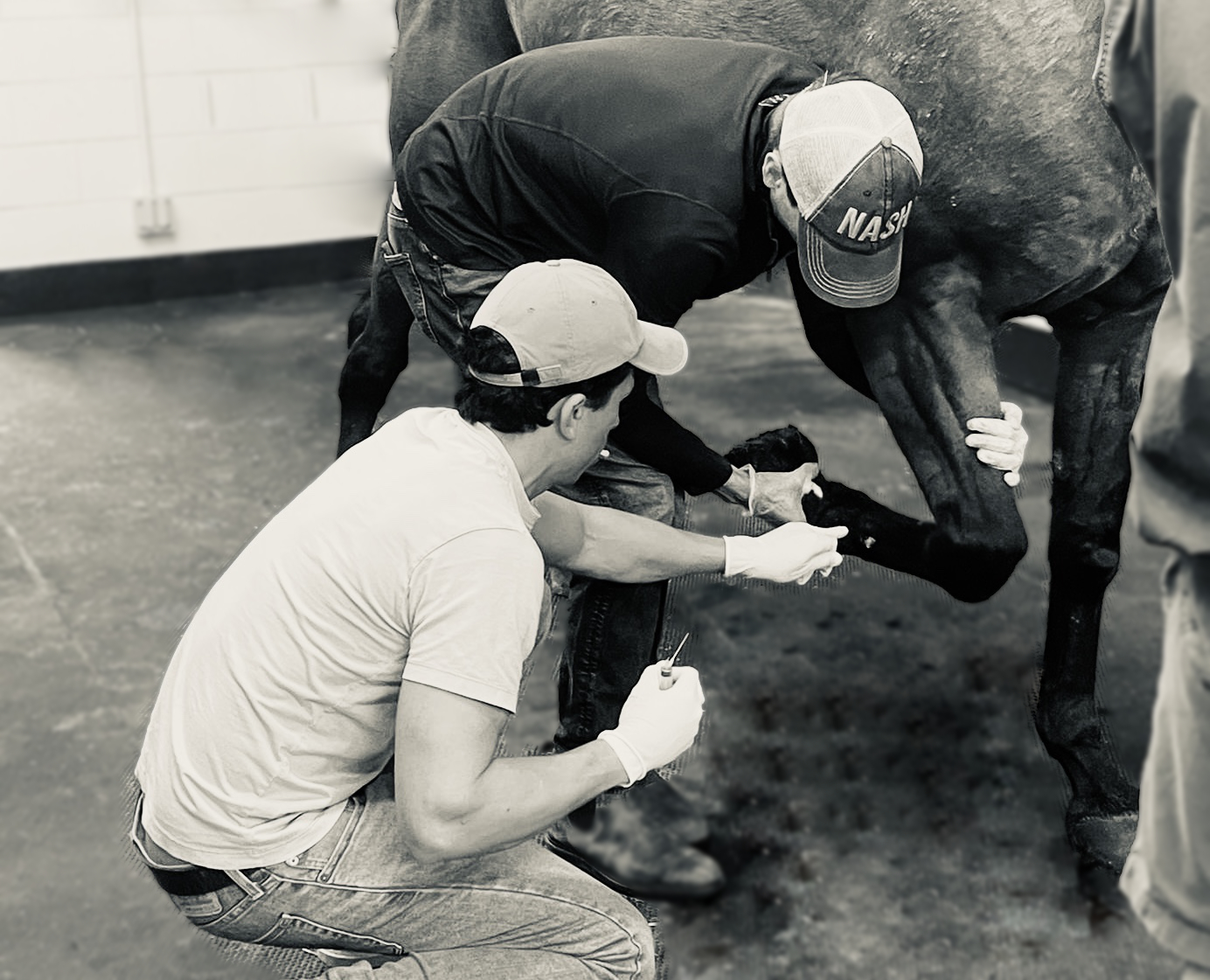 Two men grooming a horse's hoof indoors.