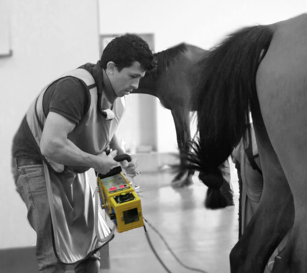 A man feeding a horse indoors with a yellow container.